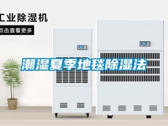 企業新聞潮濕夏季地毯除濕法