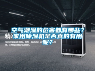常見問題空氣潮濕的危害都有哪些？家用除濕機是否真的有用呢？