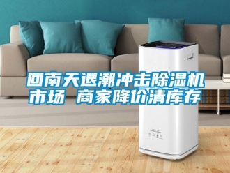 行業(yè)新聞回南天退潮沖擊除濕機(jī)市場(chǎng) 商家降價(jià)清庫存