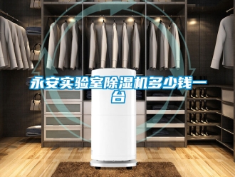 行業(yè)新聞永安實驗室除濕機多少錢一臺