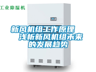 企業(yè)新聞新風機組工作原理   淺析新風機組未來的發(fā)展趨勢