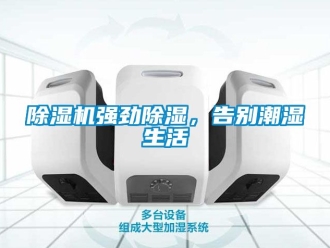 行業新聞除濕機強勁除濕，告別潮濕生活