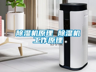 行業新聞除濕機原理 除濕機工作原理