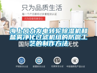 常見問題海上風力發電轉輪除濕機和鹽霧凈化過濾機組的防腐工藝的制作方法