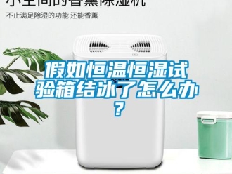 常見問題假如恒溫恒濕試驗(yàn)箱結(jié)冰了怎么辦？