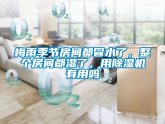 行業新聞梅雨季節房間都冒水了，整個房間都濕了，用除濕機有用嗎