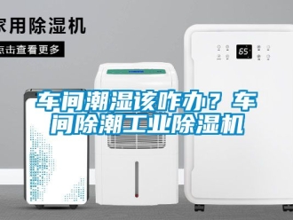 常見問題車間潮濕該咋辦？車間除潮工業除濕機