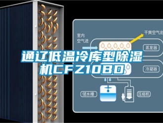 行業(yè)新聞通遼低溫冷庫型除濕機(jī)CFZ10BD