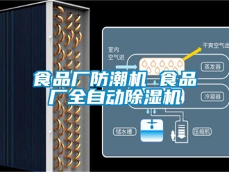 知識(shí)百科食品廠防潮機(jī) 食品廠全自動(dòng)除濕機(jī)