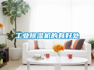 常見問題工業(yè)除濕機(jī)的有好處