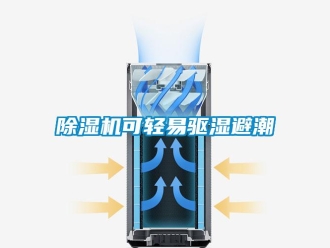 常見問題除濕機可輕易驅濕避潮