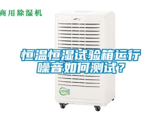 知識(shí)百科恒溫恒濕試驗(yàn)箱運(yùn)行噪音如何測試？