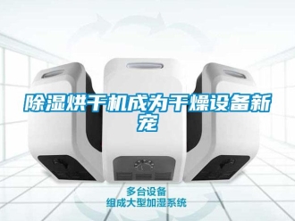 常見問題除濕烘干機(jī)成為干燥設(shè)備新寵
