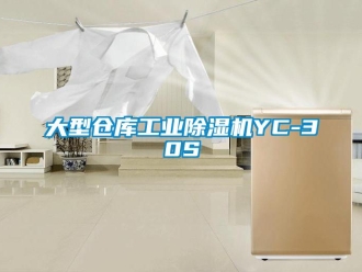 常見問題大型倉庫工業除濕機YC-30S