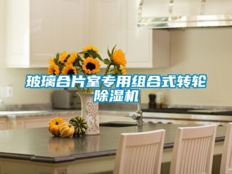 常見(jiàn)問(wèn)題玻璃合片室專用組合式轉(zhuǎn)輪除濕機(jī)