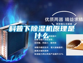 行業新聞科普下除濕機原理是什么