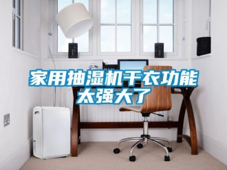 行業(yè)新聞家用抽濕機干衣功能太強大了