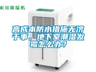 企業新聞高成本防水措施無濟于事，地下室潮濕發霉怎么辦？