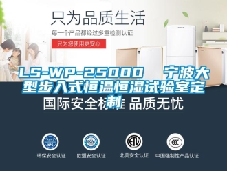 常見問題LS-WP-25000  寧波大型步入式恒溫恒濕試驗室定制