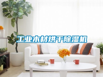 常見問題工業木材烘干除濕機