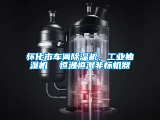 常見問題懷化市車間除濕機，工業(yè)抽濕機  恒溫恒濕非標機器