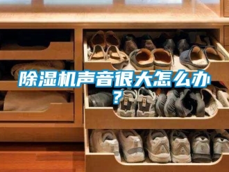 常見問題除濕機(jī)聲音很大怎么辦？