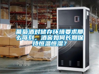 知識(shí)百科葡萄酒對(duì)儲(chǔ)存環(huán)境要求那么苛刻，酒窖如何長(zhǎng)期保持恒溫恒濕？