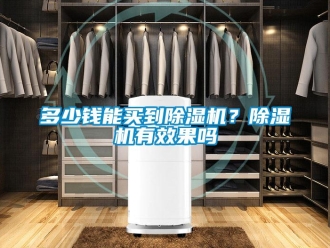 行業新聞多少錢能買到除濕機？除濕機有效果嗎
