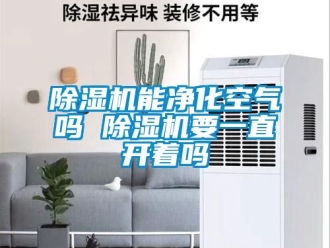 行業(yè)新聞除濕機(jī)能凈化空氣嗎 除濕機(jī)要一直開(kāi)著嗎
