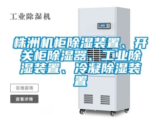 常見(jiàn)問(wèn)題株洲機(jī)柜除濕裝置、開(kāi)關(guān)柜除濕器、工業(yè)除濕裝置、冷凝除濕裝置