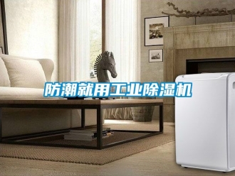常見問題防潮就用工業除濕機