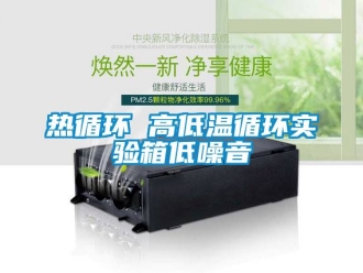 常見問題熱循環 高低溫循環實驗箱低噪音