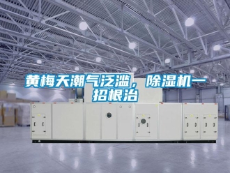 行業新聞黃梅天潮氣泛濫，除濕機一招根治