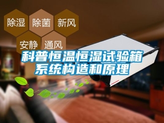 知識(shí)百科科普恒溫恒濕試驗(yàn)箱系統(tǒng)構(gòu)造和原理
