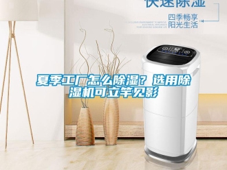 常見問題夏季工廠怎么除濕？選用除濕機可立竿見影