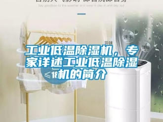 常見問題工業低溫除濕機，專家詳述工業低溫除濕機的簡介