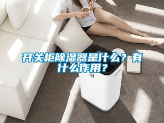 行業新聞開關柜除濕器是什么？有什么作用？