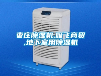 行業(yè)新聞棗莊除濕機(jī),雁飛商貿(mào),地下室用除濕機(jī)
