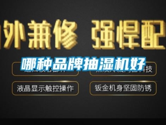 企業(yè)新聞哪種品牌抽濕機好