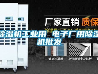 常見問題除濕機工業用 電子廠用除濕機批發