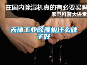 常見問題天津工業(yè)除濕機什么牌子好