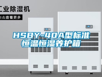 常見問題HSBY-40A型標準恒溫恒濕養(yǎng)護箱