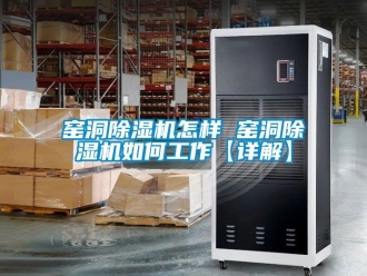 行業新聞窯洞除濕機怎樣 窯洞除濕機如何工作【詳解】