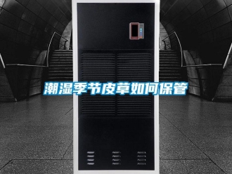 常見(jiàn)問(wèn)題潮濕季節(jié)皮草如何保管