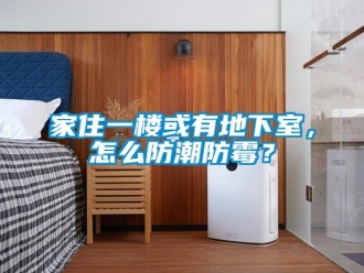 企業(yè)新聞家住一樓或有地下室，怎么防潮防霉？