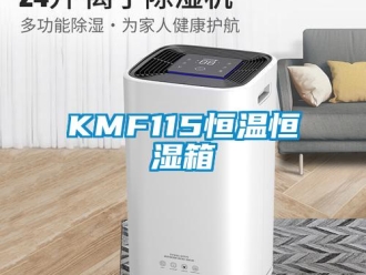 常見問題KMF115恒溫恒濕箱