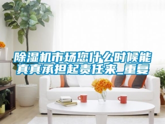 行業新聞除濕機市場您什么時候能真真承擔起責任來_重復