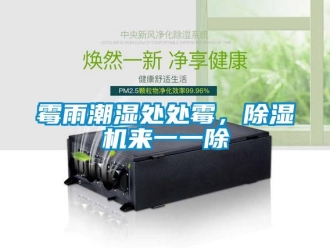 行業新聞霉雨潮濕處處霉，除濕機來一一除