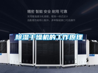 企業新聞除濕干燥機的工作原理