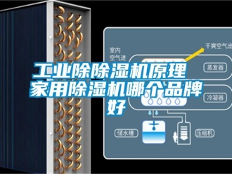 常見問題工業(yè)除除濕機(jī)原理 家用除濕機(jī)哪個品牌好